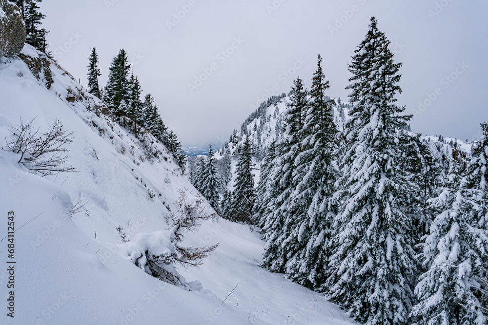 Snowshoe tour to the Tennenmooskopf on the Nagelfluhkette in the Allgau Alps