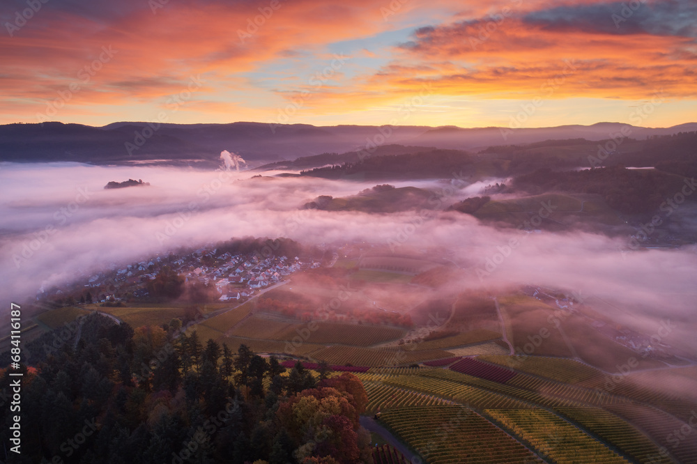 Morgenstimmung in den Weinbergen bei Durbach, Ortenau, Baden