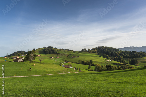 Hilly landscape in the Appenzellerland with farms, green meadows and pastures, Canton Appenzell Innerrhoden, Switzerland