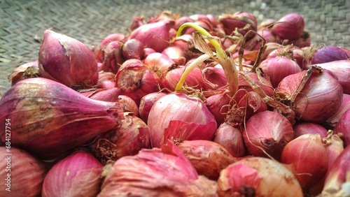 Harvested shallots that have been cleaned and dried in the sun are ready to be used as a cooking spice