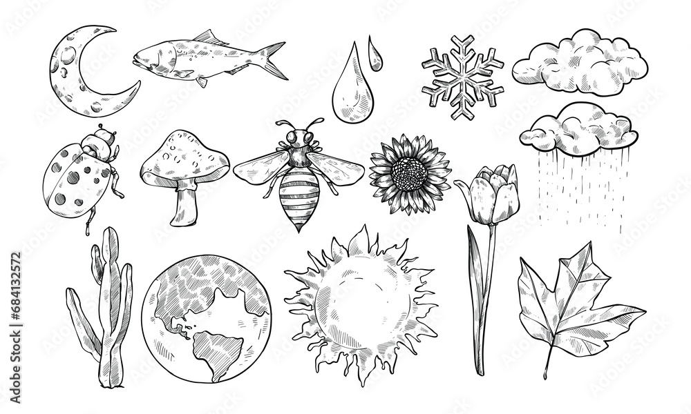 Obraz premium beautiful nature handdrawn collection engraving