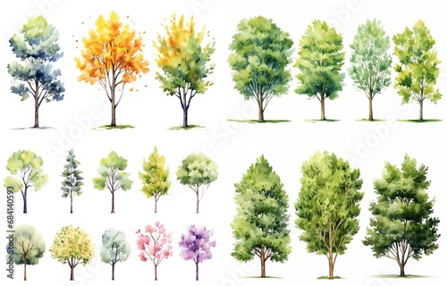 watercolor style illustration of various type of trees, spring and summer collection set isolated on white background, Generative Ai © QuietWord