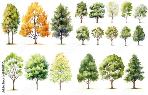 watercolor style illustration of various type of trees, summer and autumn collection set isolated on white background, Generative Ai photo