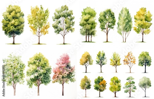 watercolor style illustration of various type of trees, spring and summer collection set isolated on white background, Generative Ai © QuietWord