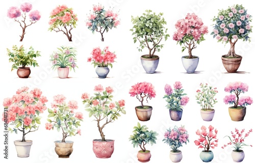 watercolor style illustration of various type blossoming pink flower pot azalea and hibiscus summer and spring, collection set isolated on white background, Generative Ai
