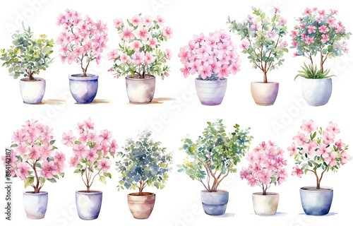 watercolor style illustration of various type blossoming pink flower pot azalea and hibiscus  summer and spring  collection set isolated on white background  Generative Ai