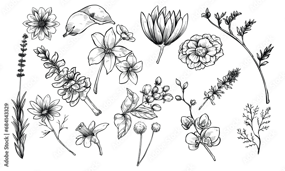 spring flowers plant handdrawn collection