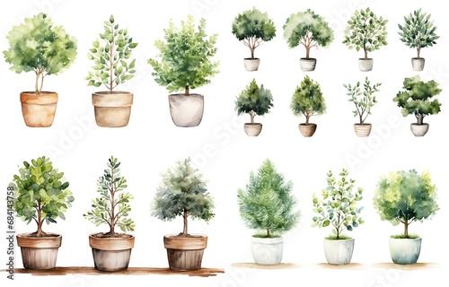 watercolor style illustration of green leaf pot plants  terracotta pot  minimal simple style    isolated on white background  collection set  Generative Ai