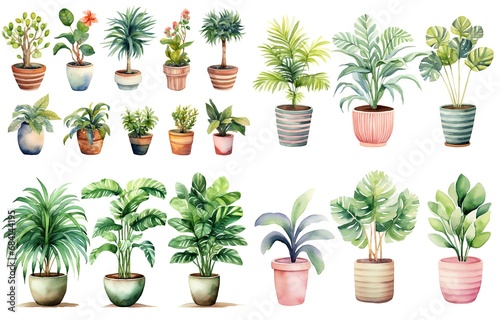 watercolor style illustration of various type of tropical foliage pot plant summer collection set isolated on white background, Generative Ai © QuietWord