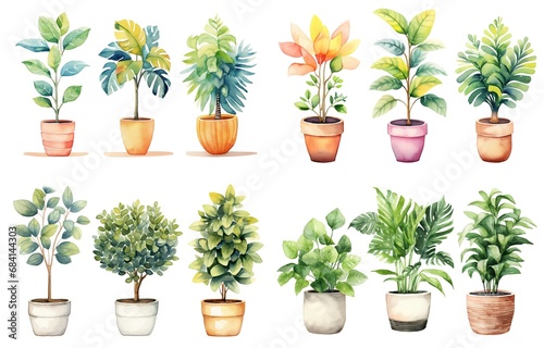 watercolor style illustration of various type of tropical foliage pot plant summer collection set isolated on white background, Generative Ai