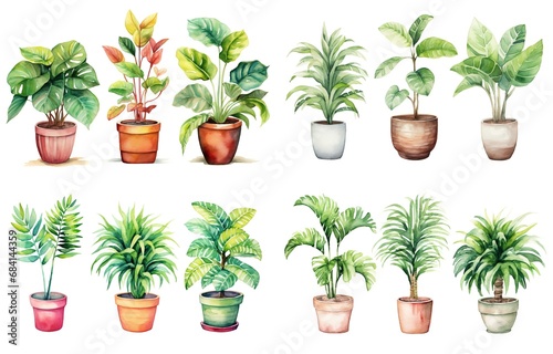watercolor style illustration of various type of tropical foliage pot plant summer collection set isolated on white background  Generative Ai