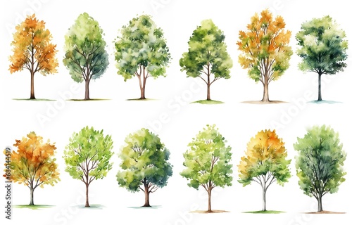 watercolor style illustration of various type of trees, summer and autumn collection set isolated on white background, Generative Ai