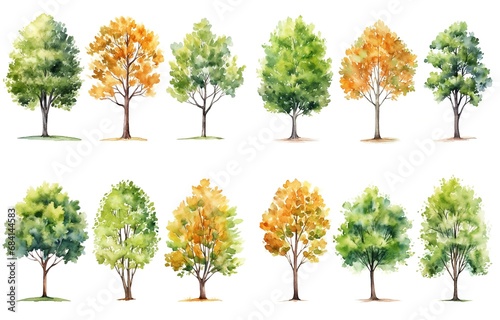 watercolor style illustration of various type of trees, summer and autumn collection set isolated on white background, Generative Ai © QuietWord