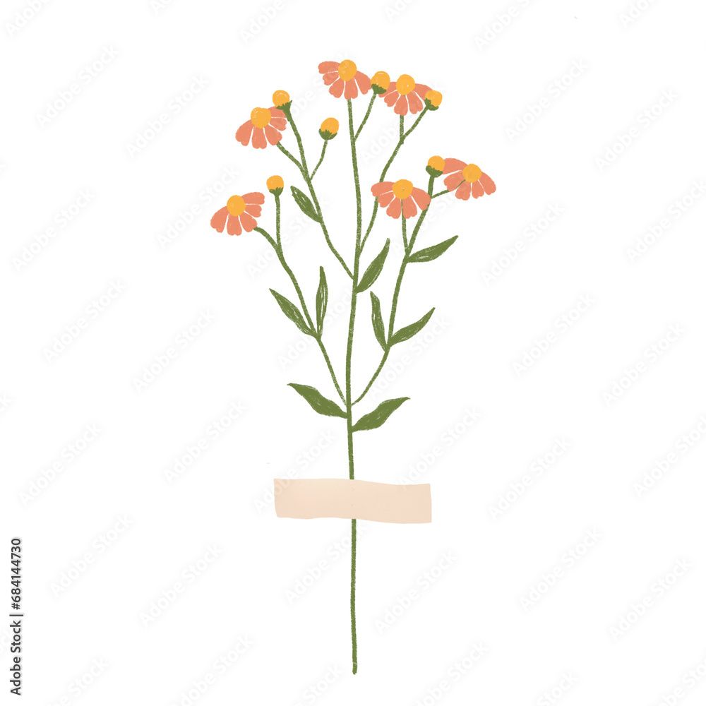 Washi tape with flowers. Boho plants. Beautiful hand drawn wild grass and flowers. Cute crafty decorations.
Washi tape with flowers. Boho plants. Beautiful hand drawn wild grass and flowers. Cute crafty decorations.