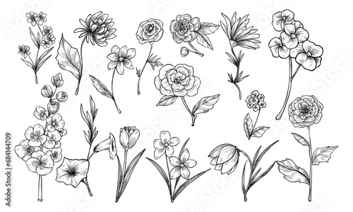 flower type handdrawn collection