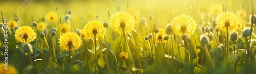 Vibrant Showcase  Uncover the Serenity in Yellow Dandelions amidst Lush Green Grass Generative AI