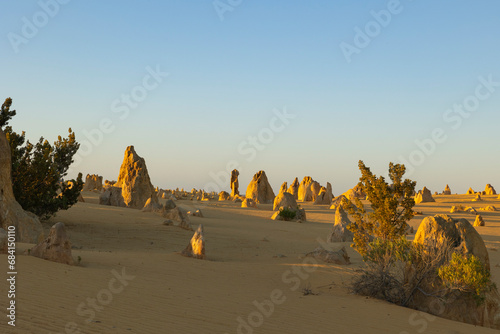The Pinnacles at sunset in the Nambung National Park  western Australia