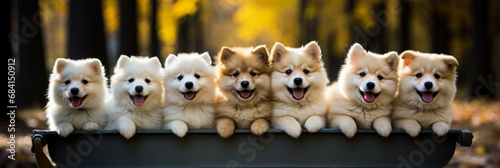 Adorable puppies delivered in a wagon special and heartwarming sight 