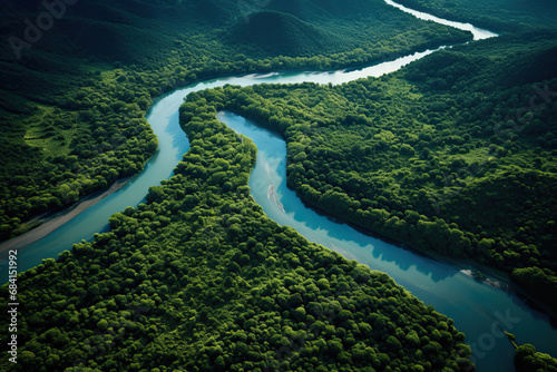 aerial shot of a river surrounded by tropical trees  © Rangga Bimantara