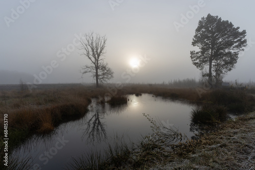 Spiegelung bei Sonnenaufgang im Hochmoor. © Jochen Mank