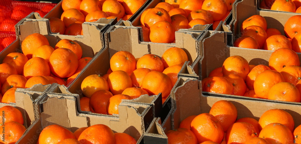 tangerines for sale in boxes in the stall of the greengrocer