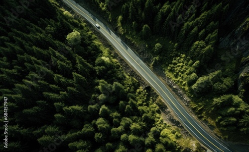 A mesmerizing aerial view of a narrow, winding road cutting through a dense forest with a vibrant green canopy. The dark asphalt forms a serpentine path, offering a scenic journey of exploration