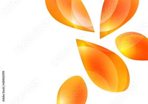 Many transparent isolated petals on a white background. Vector