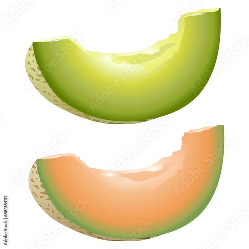 cut of cantaloupe Japanese musk melon isolated illustration photo