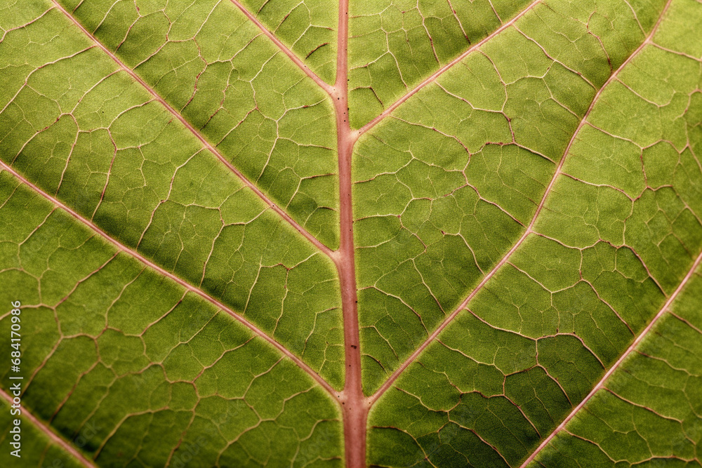 Fototapeta premium close up view of a leaf's texture created with Generative Ai
