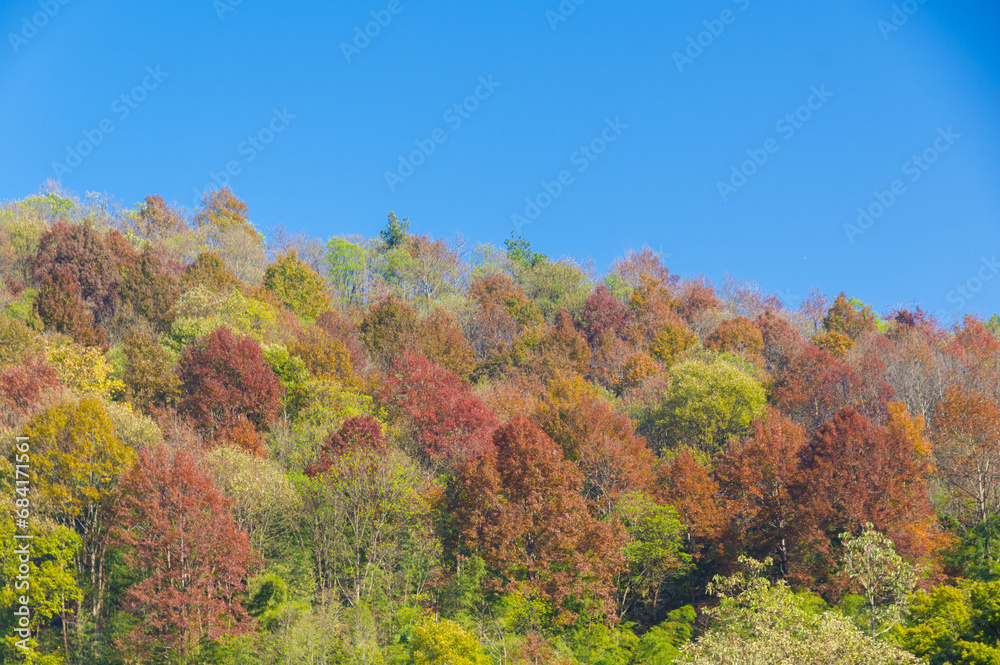 Wuhan Mu Lan Tianchi Scenic Area Late Autumn Scenery Wuhan Mu Lan Tianchi Scenic Area Late Autumn Scenery