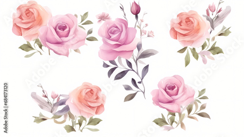 Pink rose flower bouquet collection with watercolor