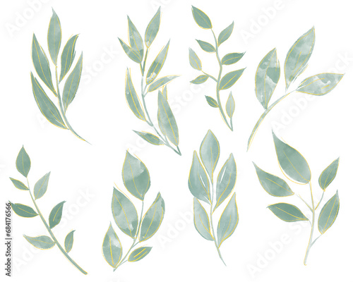 set of various watercolor leaf sticker illustrations, isolated on a transparent background