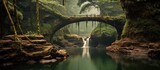 Natural landscape with bridge and river. A river with a small waterfall and a wooden bridge
