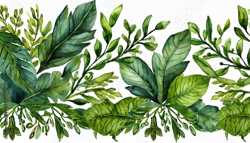 watercolor illustration green leaves antique border medieval floral ornament vintage pattern clip art isolated on white background