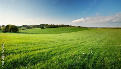 large field of green grass
