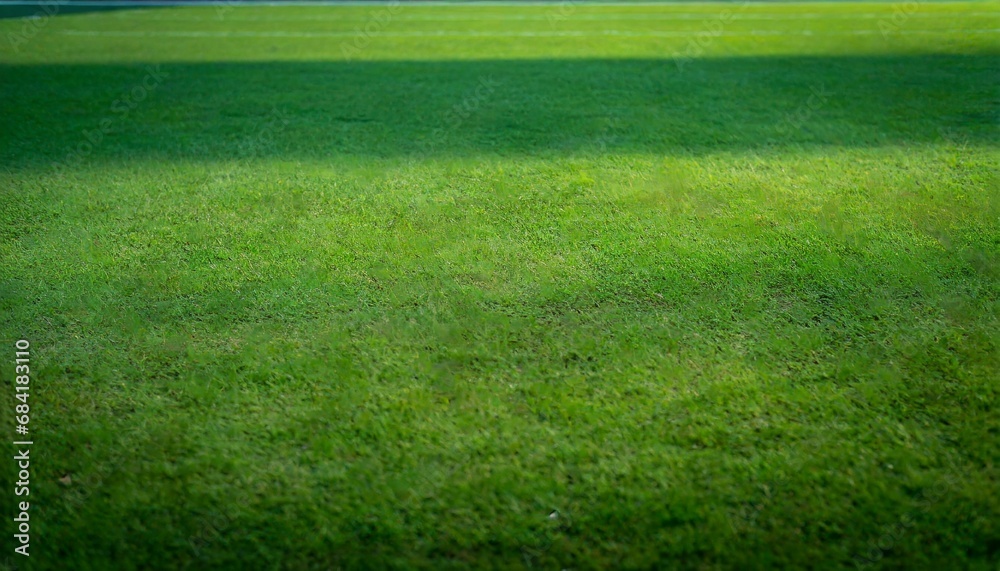 green short cut grass sport field background