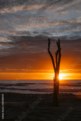 sunset on the beach © Abilio