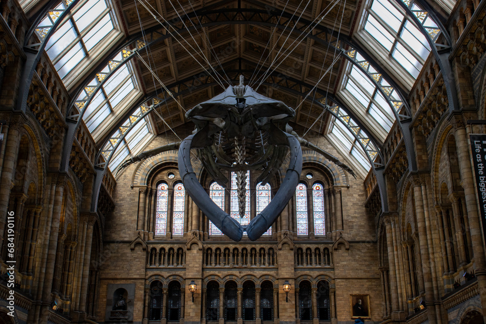 Giant Whale Skeleton Dominating the Hintze Hall of the Natural History Museum in London