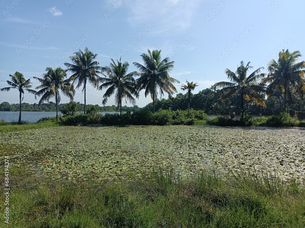 Natural beauty of kerala Stock Photos and Images Natural beauty of kerala Stock Photos and Images