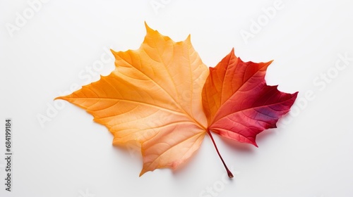 Vibrant Fall Colors: Exquisite Capture of a Lone Red & Yellow Leaf Generative AI