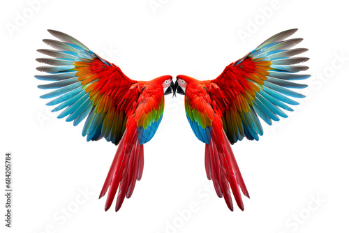macaw flying isolated on white © Tidarat
