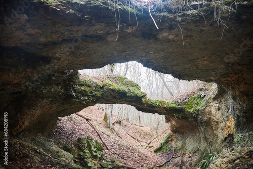 Stone bridges are a unique natural phenomenon. Created by wildlife. Forest landscape photo