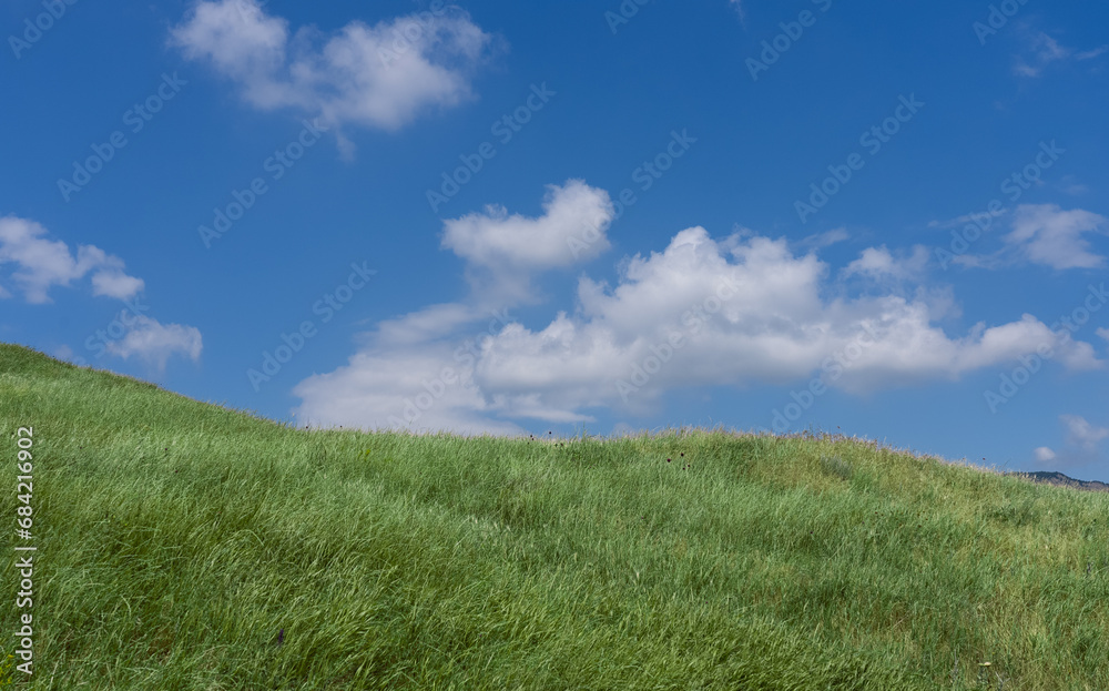 Landscape of Green Meadow and Blue Sky in Summer