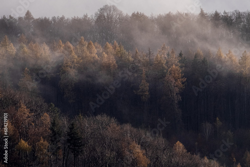 Mystical autumn forest in the fog, foggy landscape.