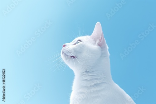 Portrait of white cat on light blue background with copy space. Hungry animal with intense expression or waiting for food. Banner for pet shop. Card with cat for Valentine day, spring, women day photo
