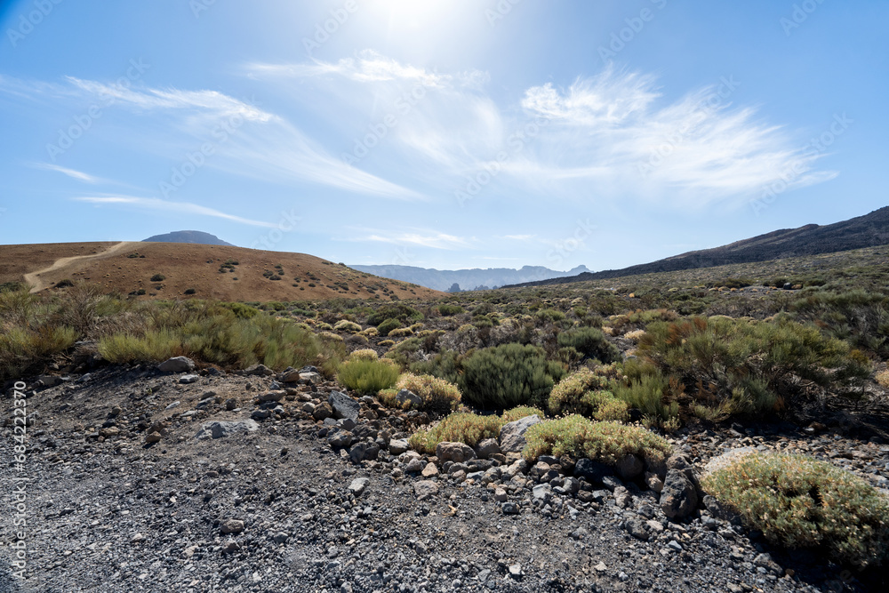 Fototapeta premium landscape of the Teide volcano