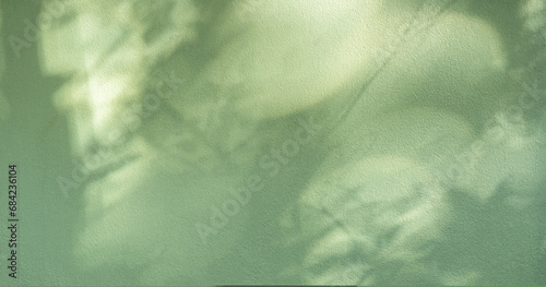 Shadow light blurred leaves overlay on green concrete wall room texture background well free space for text banner backdrop