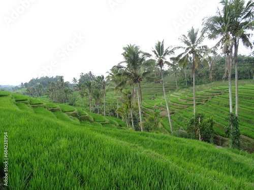 Indonesia: Bali, Lombok