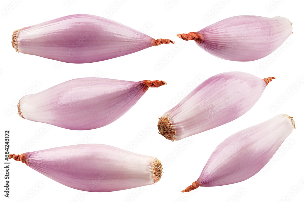 onion, shallot, isolated on white background, clipping path, full depth of field - obrazy, fototapety, plakaty 