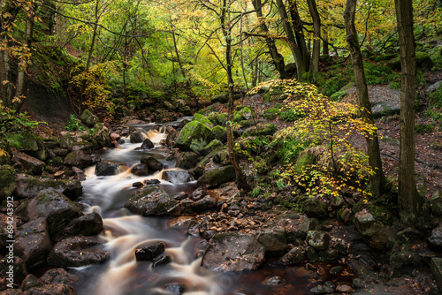 Beautiful Autumn landscape image of woodland and golden leaves and river running through deep valley below in Peak District National Park